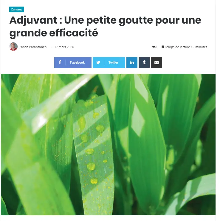 De Sangosse dans le presse